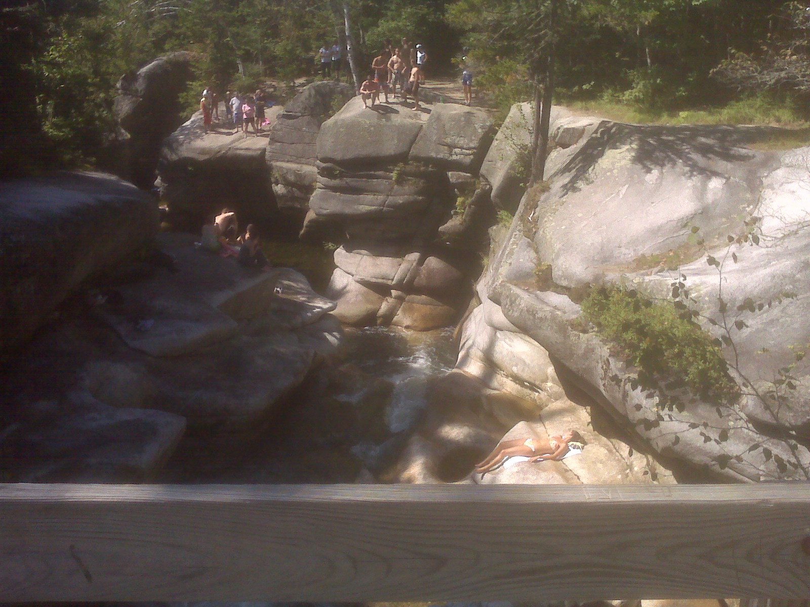 picture 16.